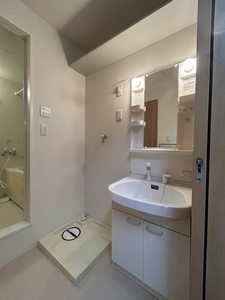 Ｃａｌｍｅ　Ｌａｒｇｅ　Ｊ． 0205号-8