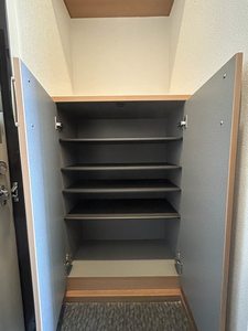 Ｃａｌｍｅ　Ｌａｒｇｅ　Ｊ． 0205号-11