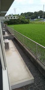 シャーメゾン丸豊 0101号-13