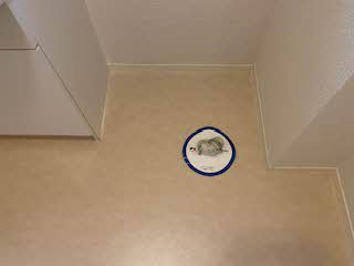 シャーメゾン希 0201号-12