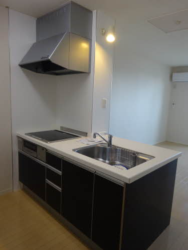 フェラーリスティ 0104号-3