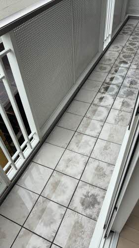 シャーメゾン田内 C207号-11