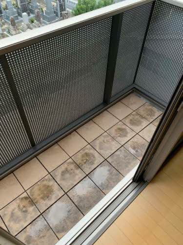 第5紅花園ハイツ 0207号-10