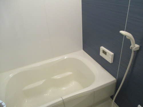 シャーメゾンひまわり 0101号-4