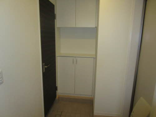 il sole Ⅰ,Ⅱ A102号-4