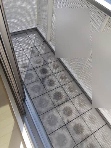 エンジェルハイム・桜 B203号-4