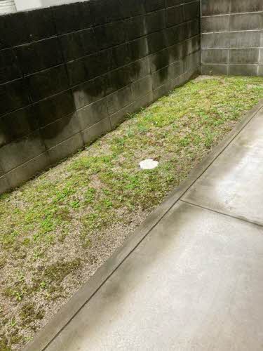 テラス新中通 0102号-15