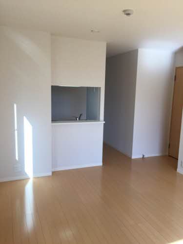 ハニー・コナ 0105号-4