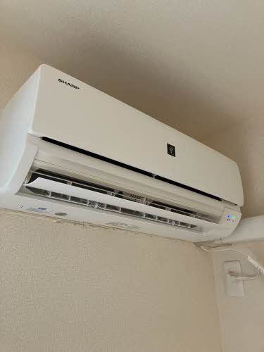 ソシア　シャルマン 0103号-15