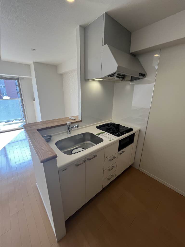 パラッツォロッサ 1002号-4