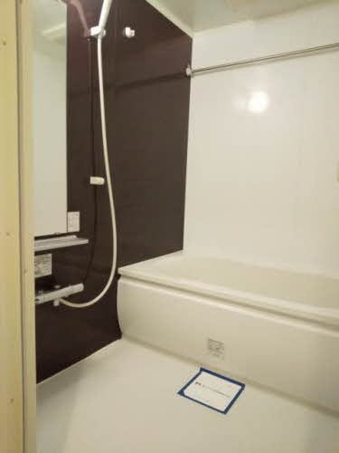 シュシュ しらかし 0101号-7