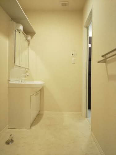 シュシュ しらかし 0101号-8