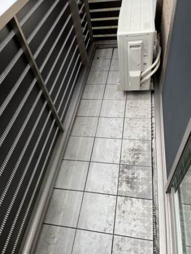 シャーメゾン　ラファール 0203号-3