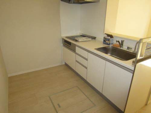 Ｖｉｌｌａｇｅ　Ｍｉｓａｏ 0103号-5