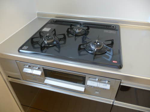 シャーメゾン柿の木 0205号-2