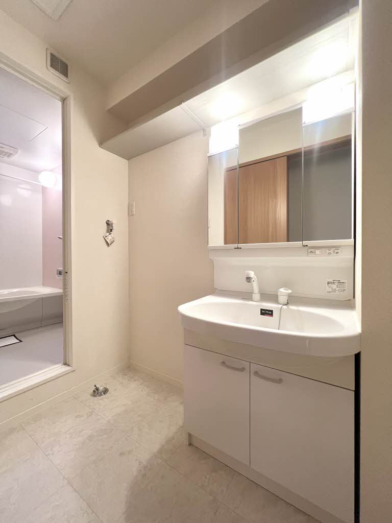 ヴィバとき 0201号-9