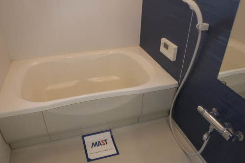 ヴィバとき 0301号-11