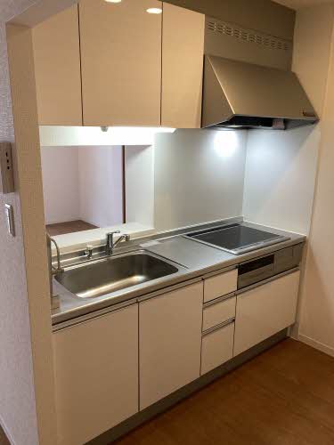 シルクメゾン弾正町 0206号-2