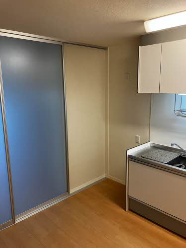 ＦＯＲＴＵＮＥ　ＬＩＦＥ　Ｓ 0302号-2