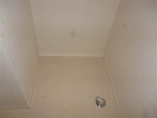 シャーメゾン岡山手 0103号-7