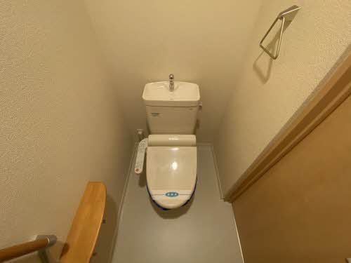 ｖｉｎｃｕｌｕｍ　ＵＫ 0202号-9