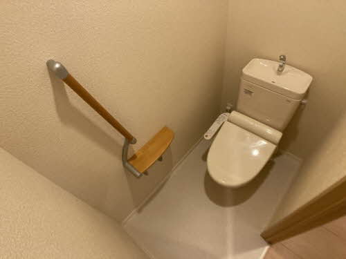 シャーメゾン　ベルフルール 0103号-11