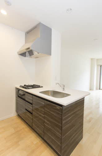 グランボヌール安堂寺 0303号-4