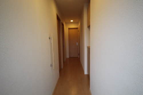 シャーメゾン彩光 0101号-2