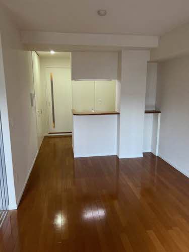SHAMAISON JJ 0413号-2