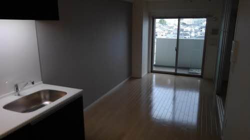 ＳＨＡＭＡＩＳＯＮ　ＪＪ 0502号-3