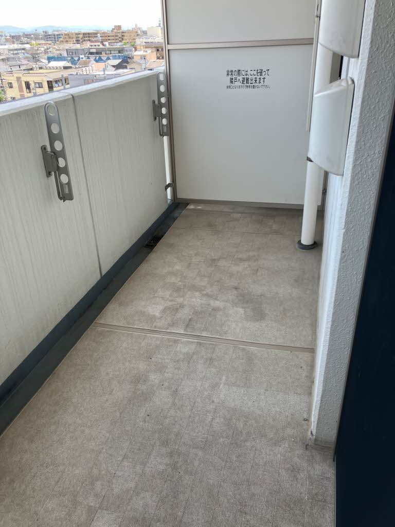 ＳＨＡＭＡＩＳＯＮ　ＪＪ 0602号-12