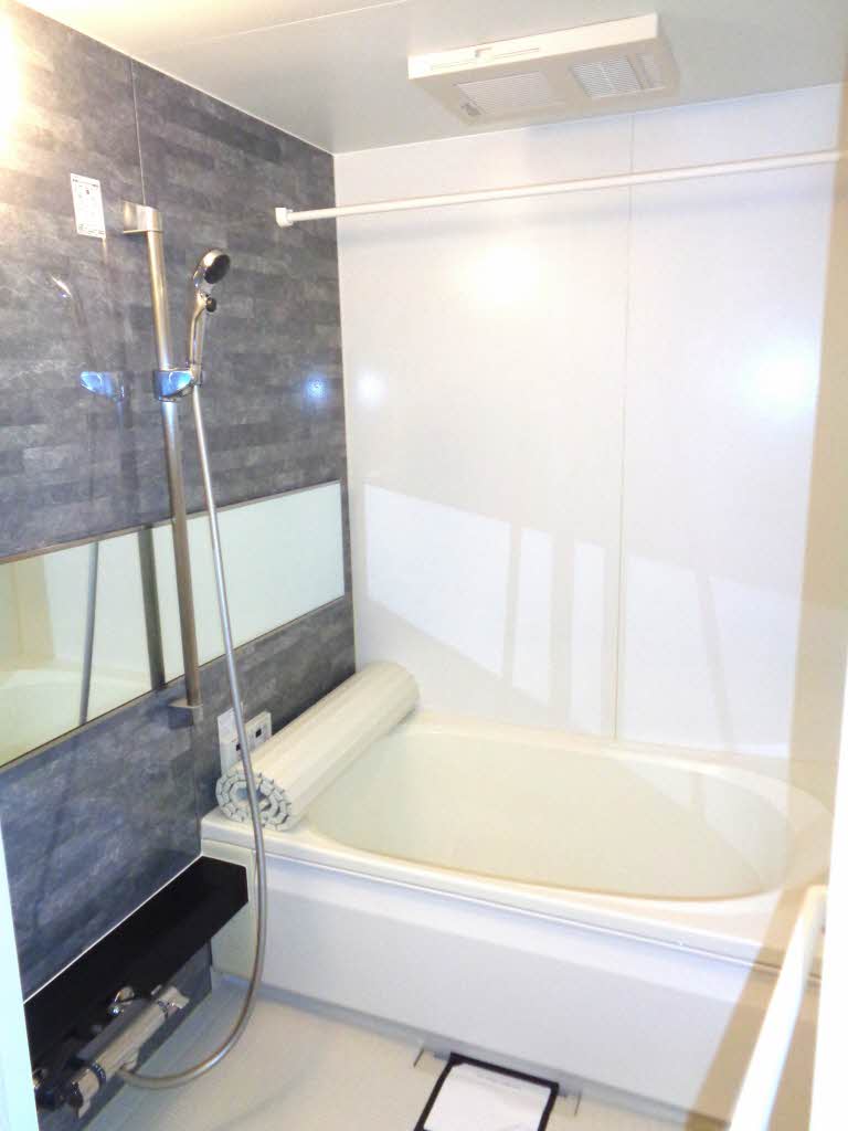 メゾン・ド・フェリス 0102号-6