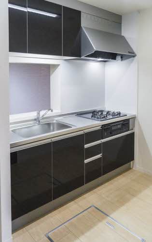 メゾン・ド・フェリス 0103号-7