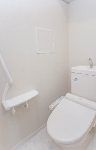 ＳｈａＭａｉｓｏｎ　Ｐｒｅｍｉａｓ 0301号-3