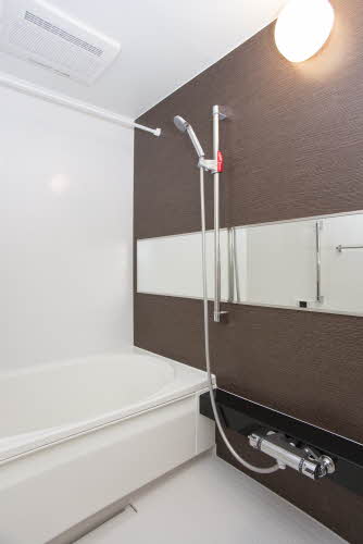 ＳｈａＭａｉｓｏｎ　Ｐｒｅｍｉａｓ 0301号-5