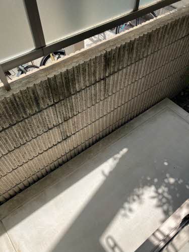 ＲＯＮＤＯ　ＢＥＬＬ 0101号-11