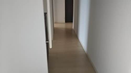 エバーグリーン 0301号-3