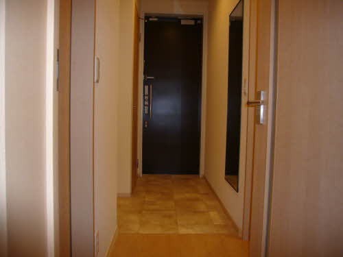 セレーナ室町 0301号-5