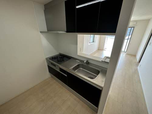 ＭＡＩＳＯＮ　ＤＥ　ＬＡＰＩＮ 0301号-3