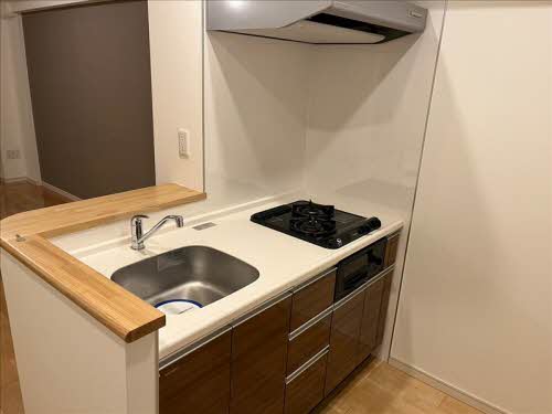 ドリーミオ東向日 0403号-5