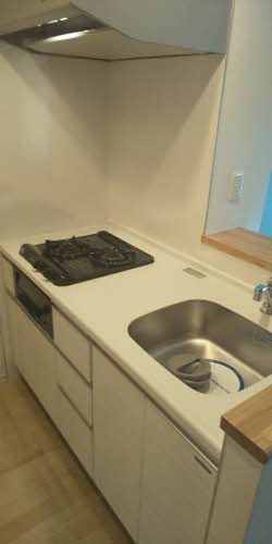 ドリーミオ東向日 0405号-2