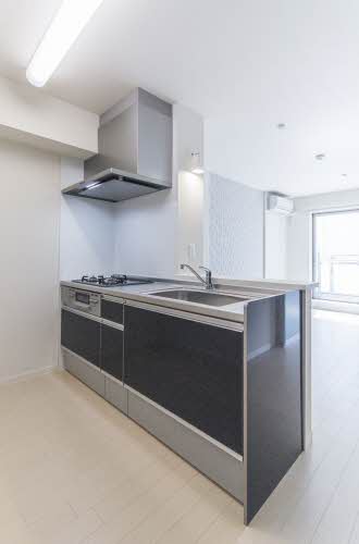 シャーメゾン新石切アネックス 0303号-9