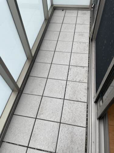 シャモニー 0201号-11