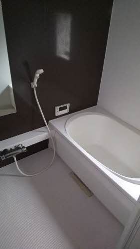 シャーメゾン大樹 0201号-3