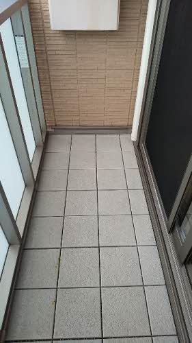 シャーメゾン大樹 0201号-11