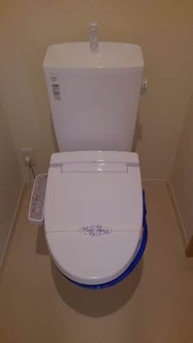 リーリエ　ＯＴＯＷＡＧＡＷＡ 0203号-11