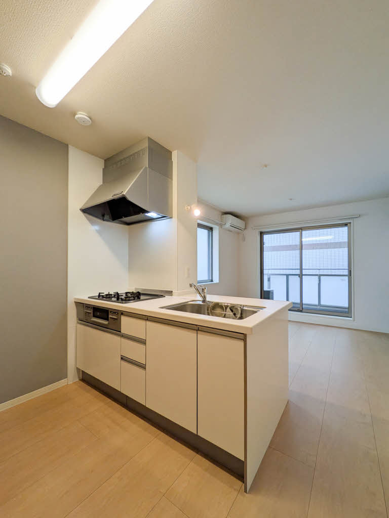 ヌーヴェル弥生Ⅲ 0201号-4