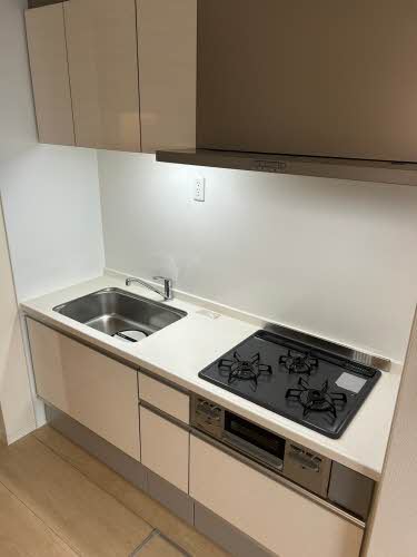 シャーメゾン　コスモ 0102号-8