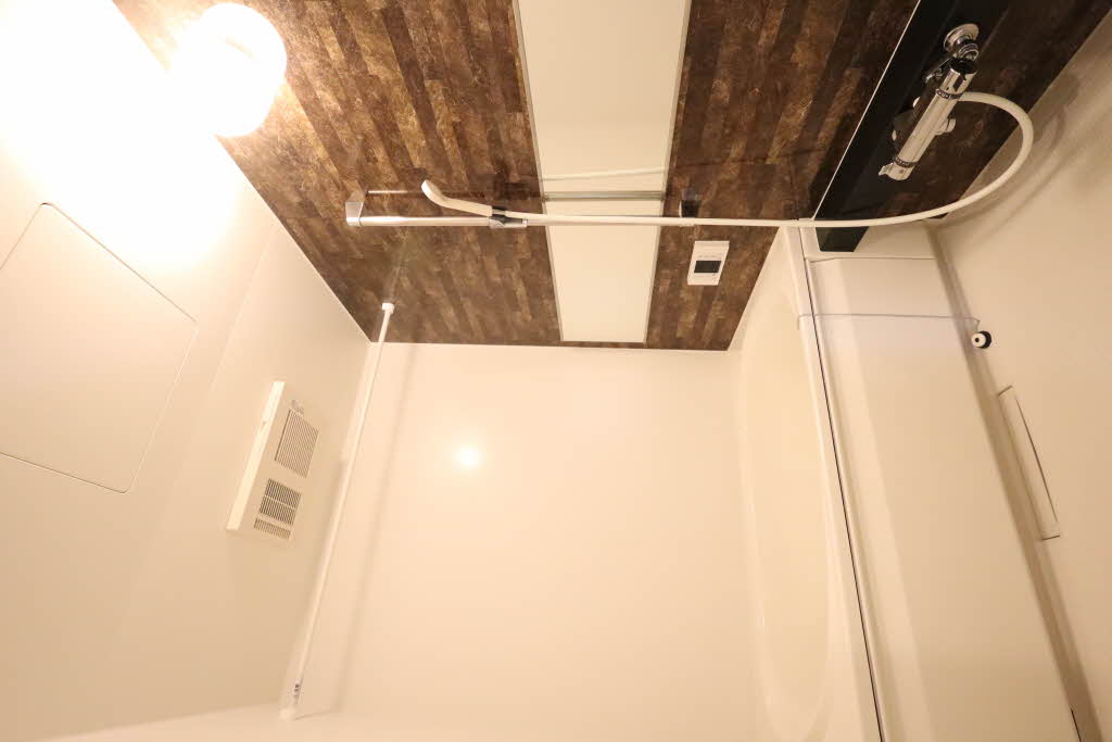 ｖｉｎｃｕｌｕｍ　ＪＫ 0105号-11