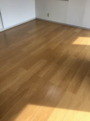 ディアス妙寺 0101号-6